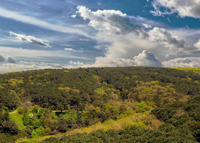 Maslak Aparts Апартаменты Стамбул