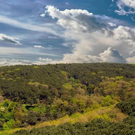 Maslak Aparts Apartman Isztambul